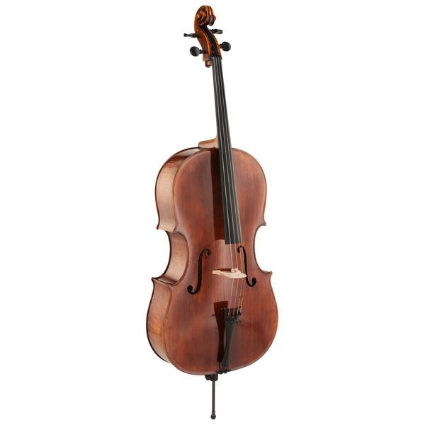 Thomas Stöhr Master Professional Montagnana