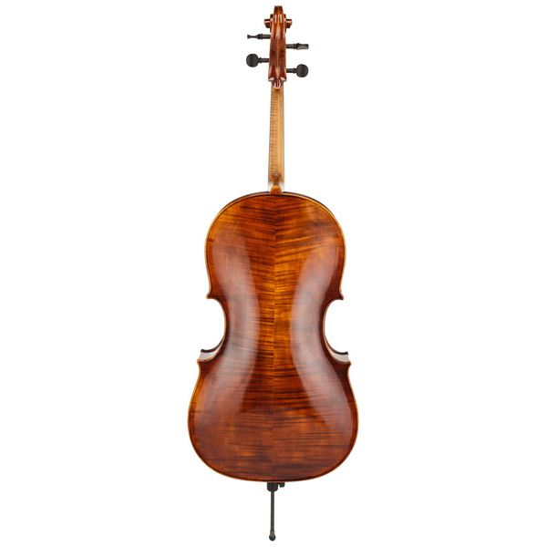 Thomas Stöhr Master Professional Montagnana