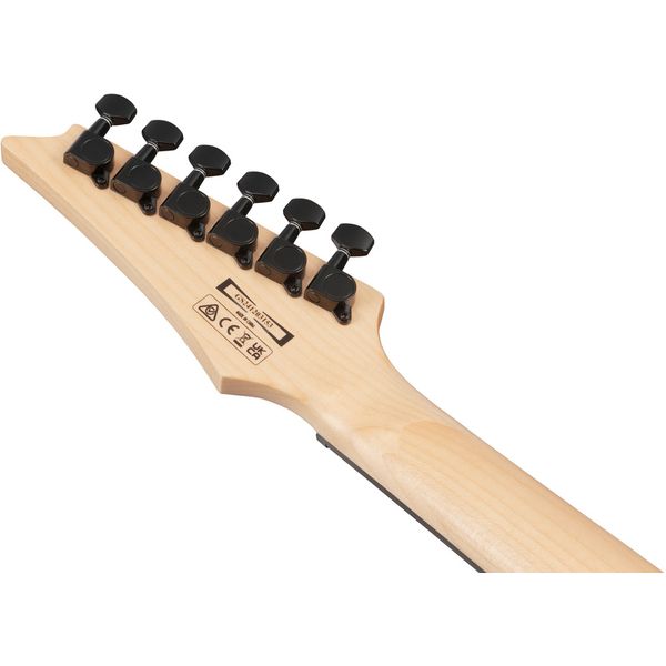 Ibanez GRG120QASP-BKG