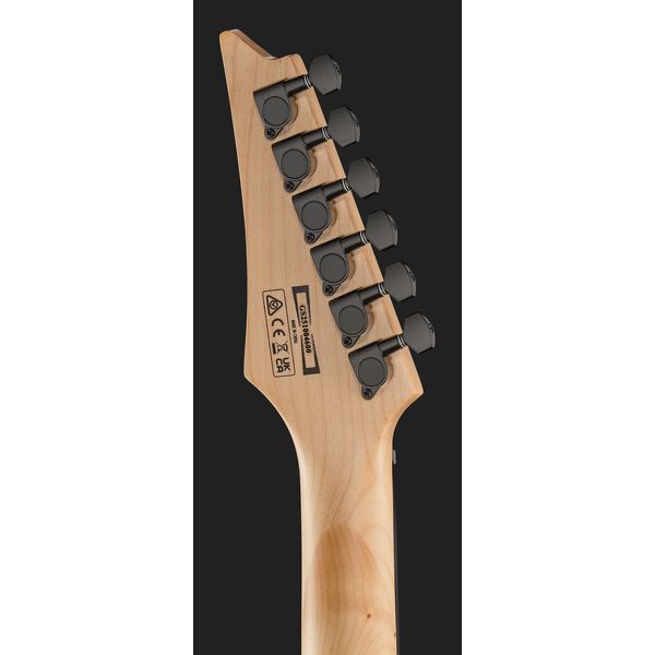 Ibanez GRG120QASP-BKG