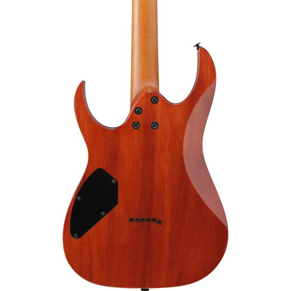 Ibanez GRGR221FA-TDK