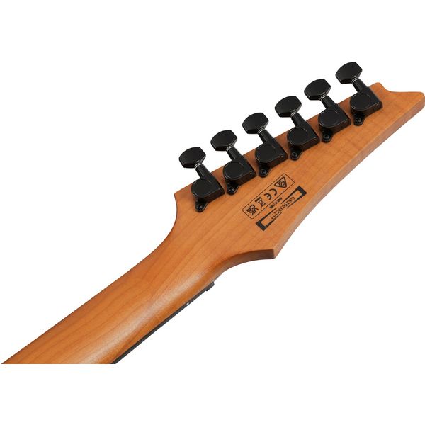 Ibanez GRGR221FA-TDK