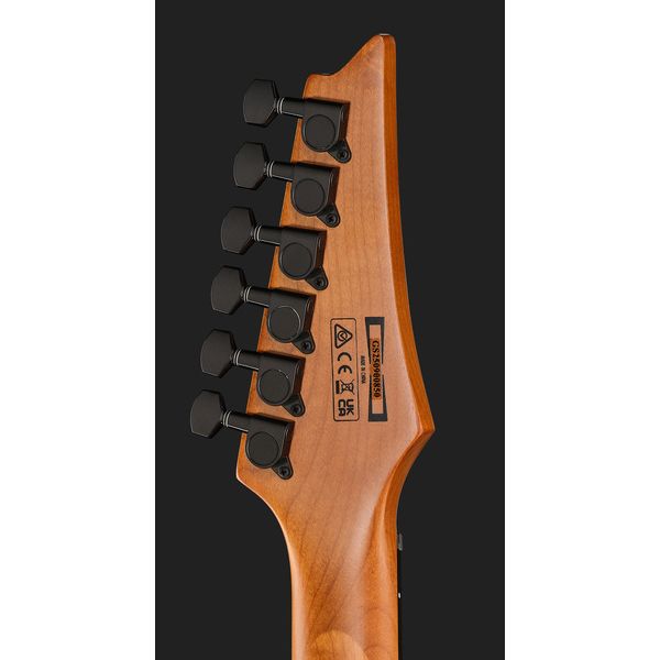 Ibanez GRGR221FA-TDK