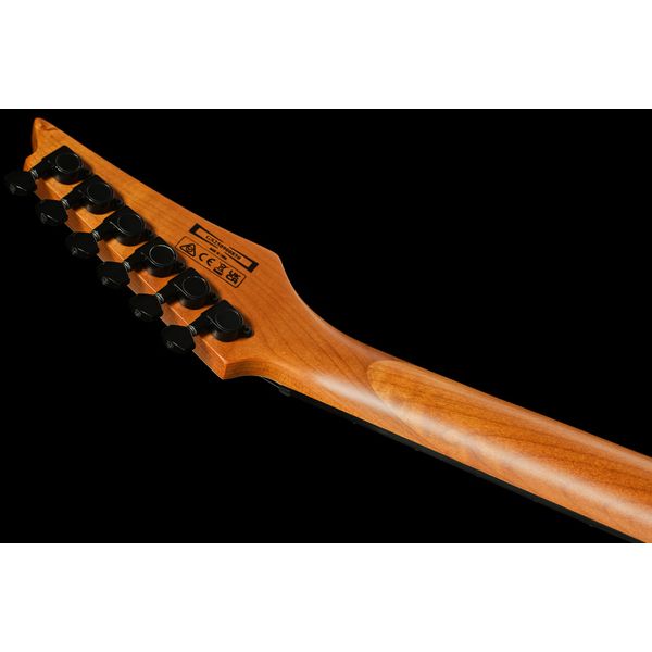 Ibanez GRGR221FA-TDK