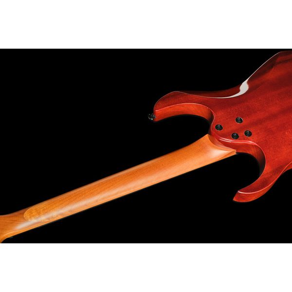 Ibanez GRGR221FA-TDK