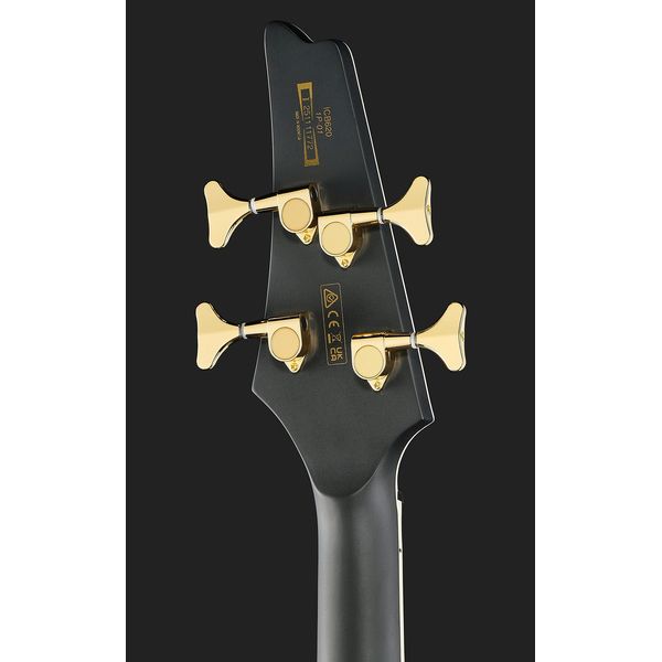 Ibanez ICB620-BKF