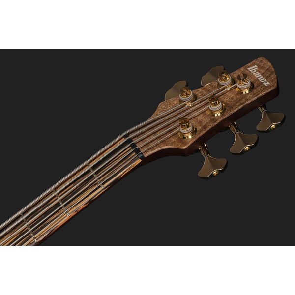 Ibanez IV1SR