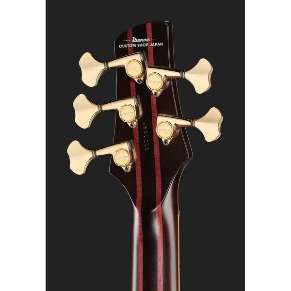 Ibanez IV1SR