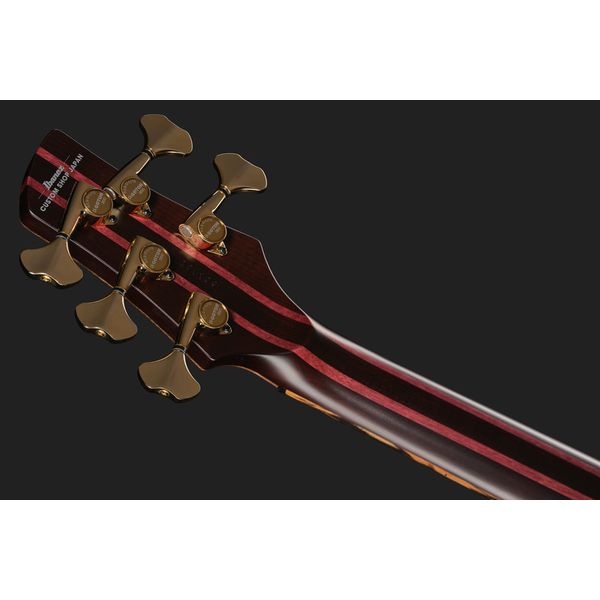 Ibanez IV1SR