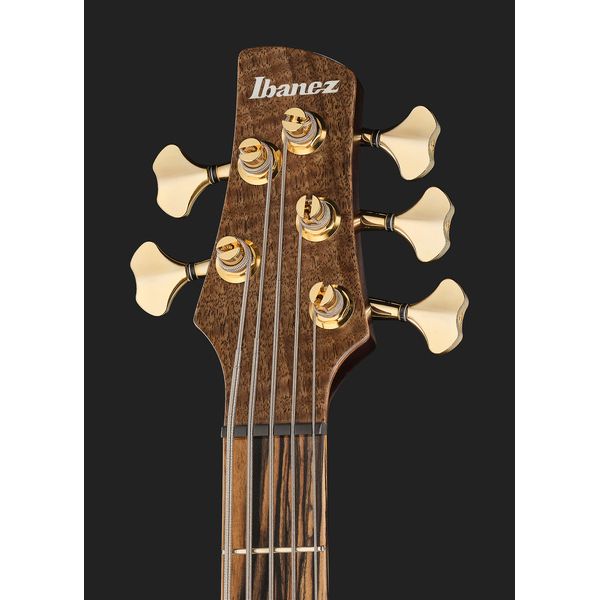 Ibanez IV1SR