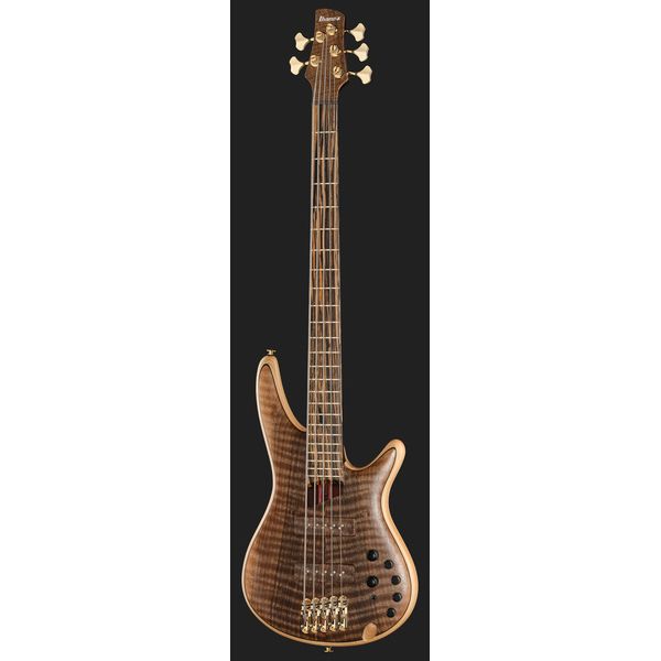 Ibanez IV1SR