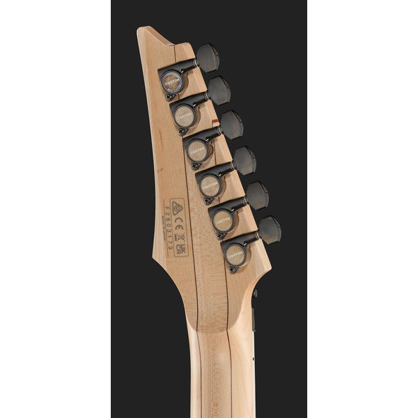 Ibanez RG653DX-WHF