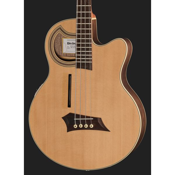 Warwick Alien Deluxe Hybrid 4 NTS