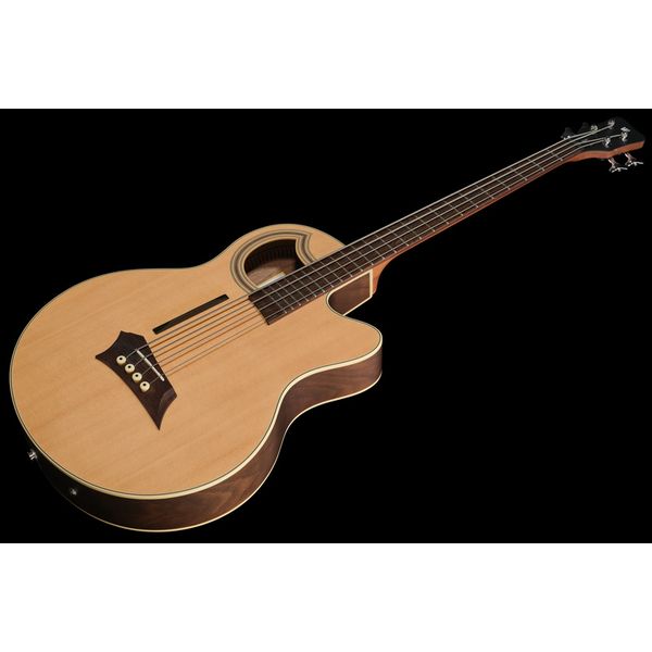 Warwick Alien Deluxe Hybrid 4 NTS