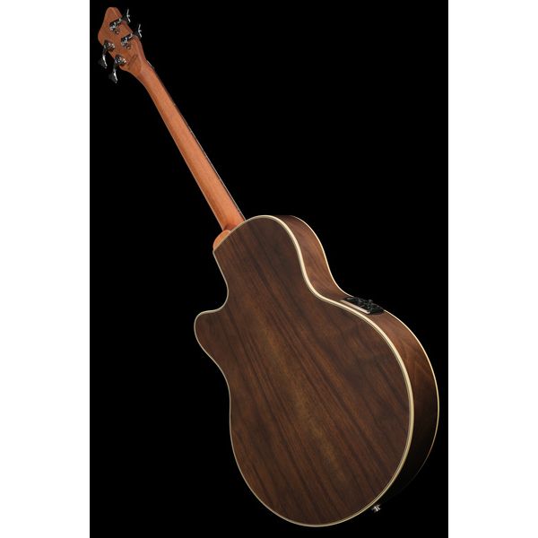 Warwick Alien Deluxe Hybrid 4 NTS