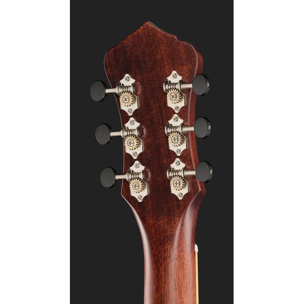 Recording King RM-994E-PN Cutaway