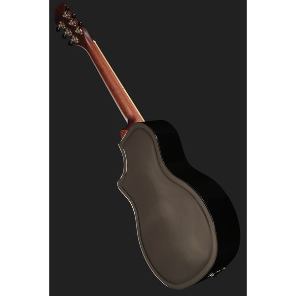 Recording King RM-994E-PN Cutaway