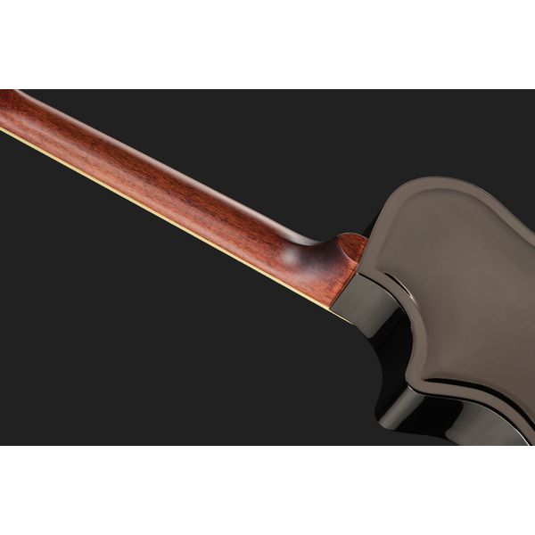 Recording King RM-994E-PN Cutaway