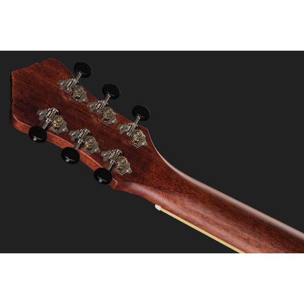Recording King RM-994E-PN Cutaway