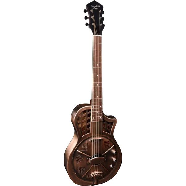 Recording King RM-994E-AC Cutaway