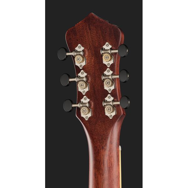 Recording King RM-994E-AC Cutaway