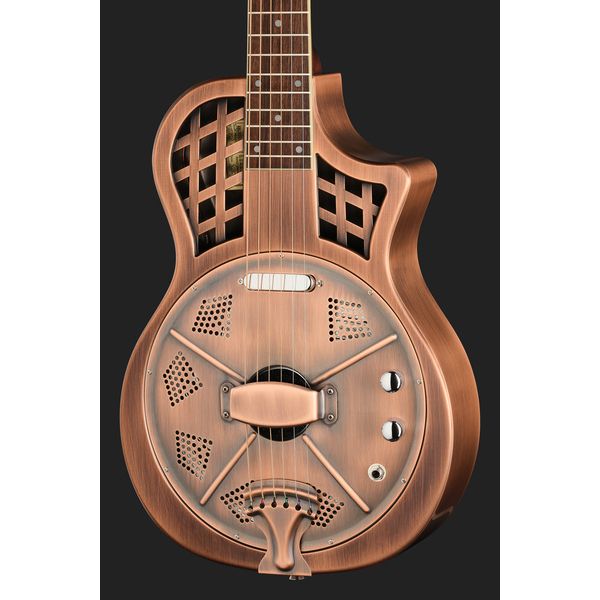 Recording King RM-994E-AC Cutaway