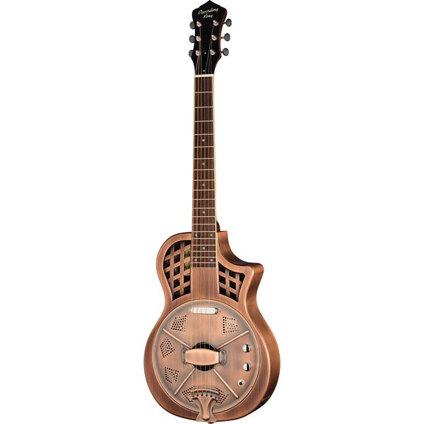 Recording King RM-994E-AC Cutaway