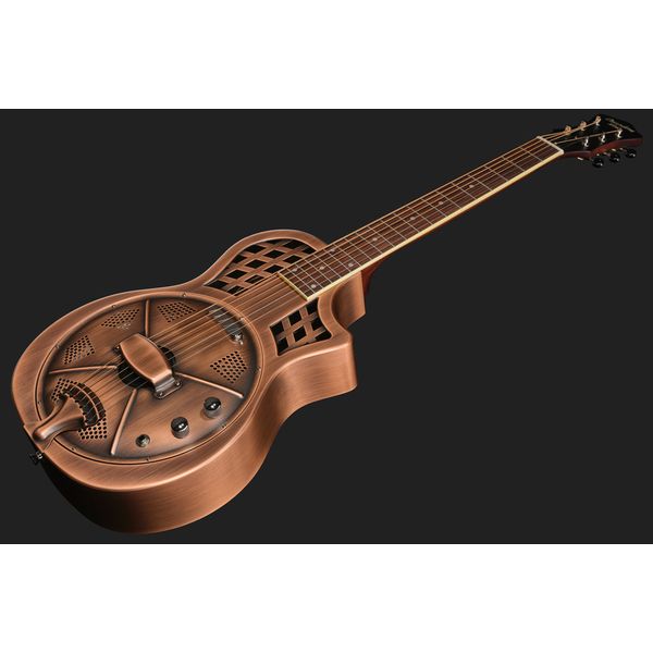 Recording King RM-994E-AC Cutaway
