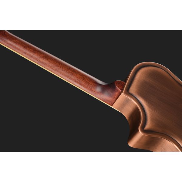 Recording King RM-994E-AC Cutaway
