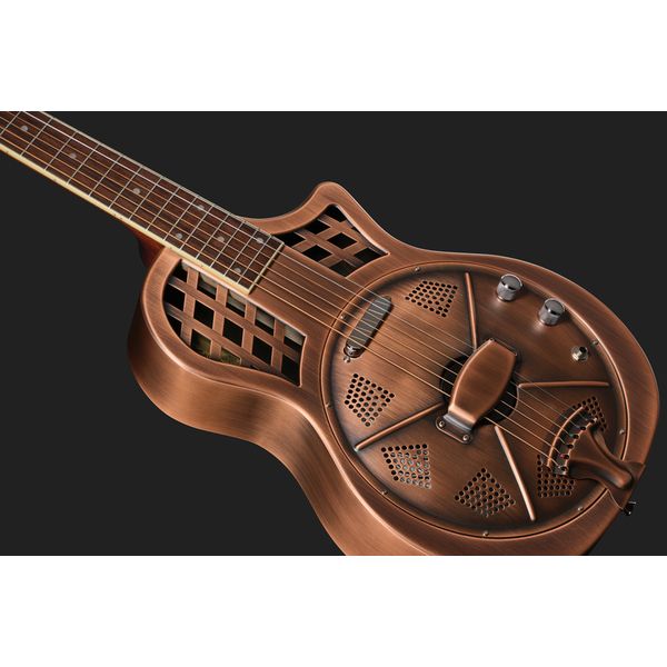 Recording King RM-994E-AC Cutaway