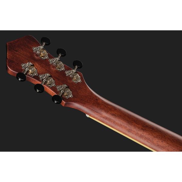 Recording King RM-994E-AC Cutaway