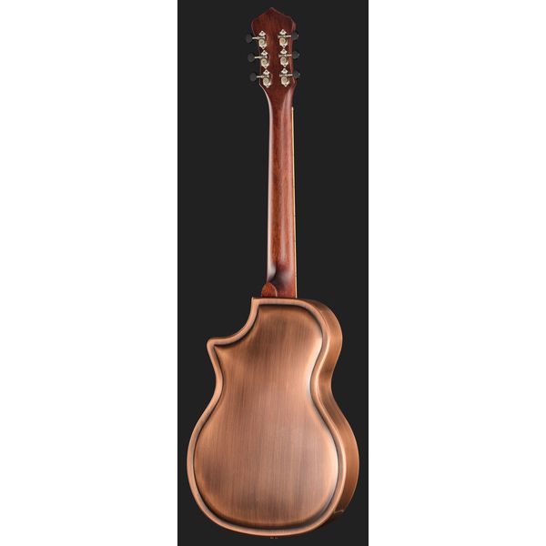 Recording King RM-994E-AC Cutaway