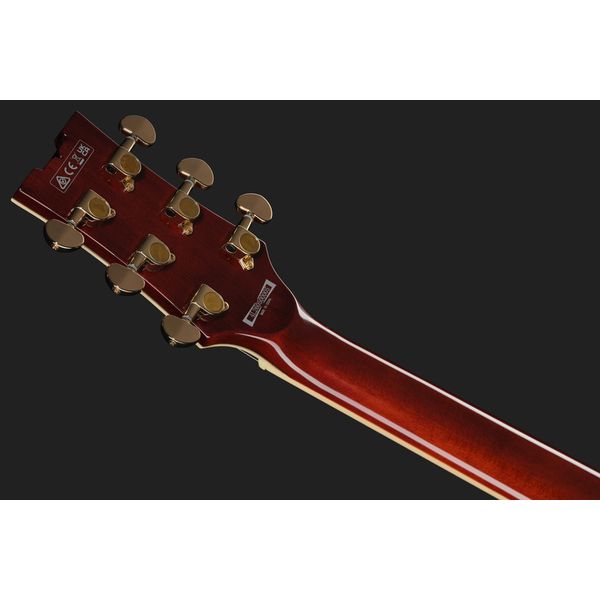 Ibanez AR320-MBM