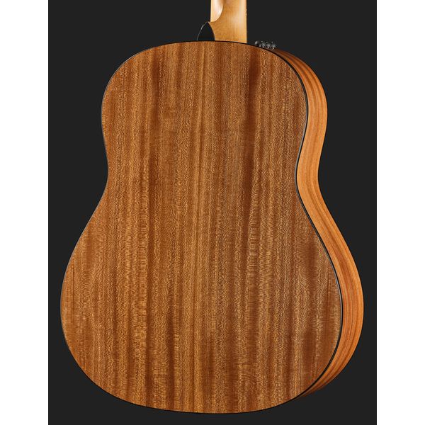 Taylor 117e Grand Pacific Eucalyptus