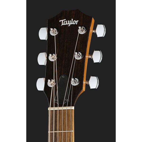 Taylor 117e Grand Pacific Eucalyptus