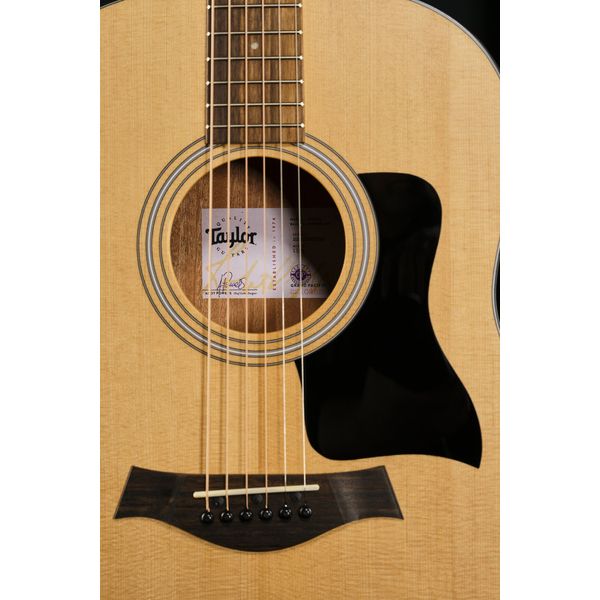 Taylor 117e Grand Pacific Eucalyptus