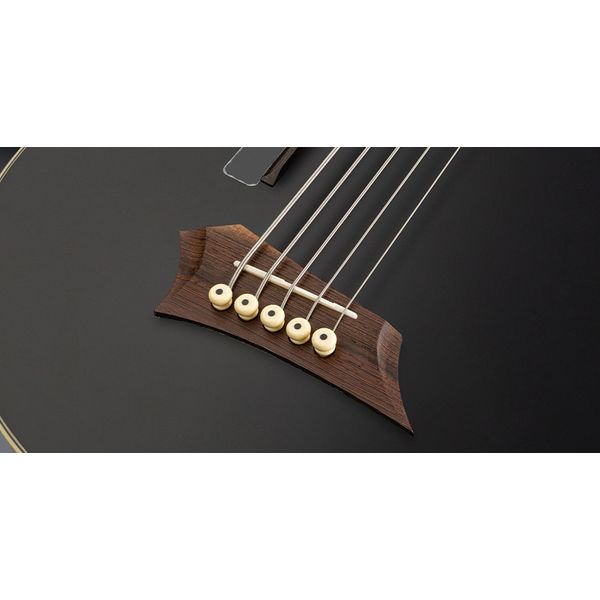 Warwick RockBass Alien Deluxe Hybrid B