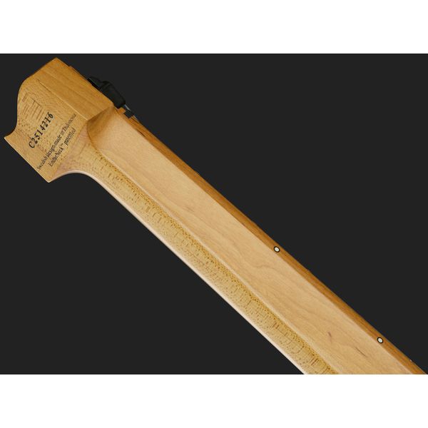 Strandberg Boden Standard N2.6T Black