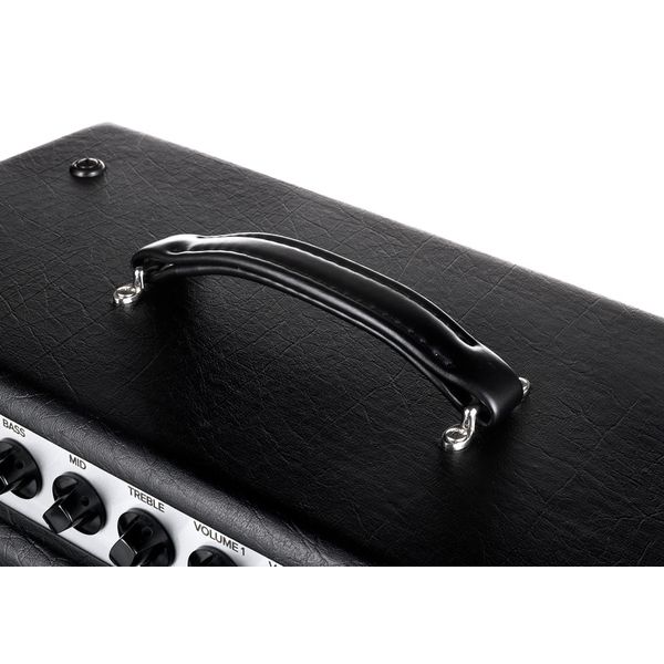 Bad Cat Mod Shop Hot Cat 50 Head