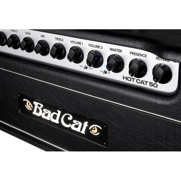Bad Cat Mod Shop Hot Cat 50 Head
