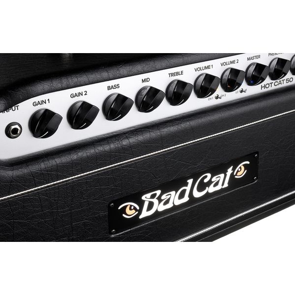 Bad Cat Mod Shop Hot Cat 50 Head