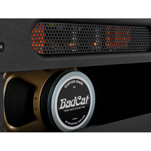 Bad Cat Mod Shop Hot Cat 50 Combo