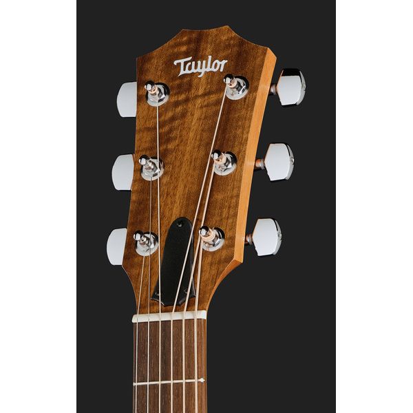 Taylor Academy 12e LH Wal/Euca