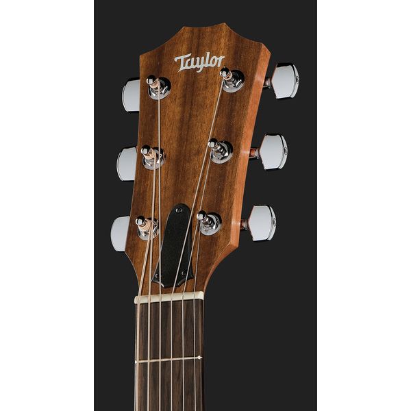 Taylor Academy 22e Walnut/Euca