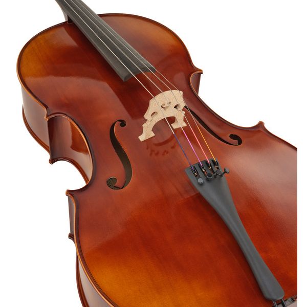 Gewa Allegro VC1 Cello Set 4/4 FT