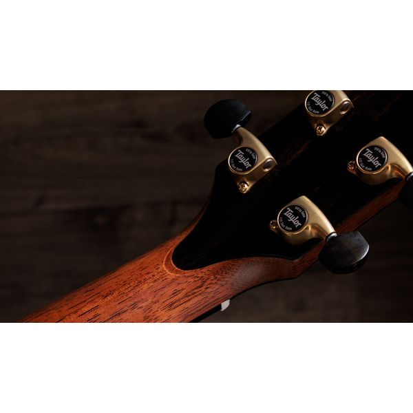 Taylor Gold Label 917e SB