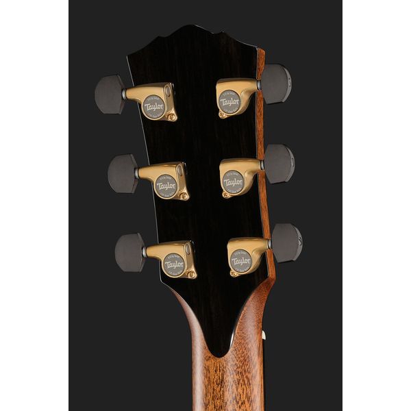 Taylor Gold Label 917e SB