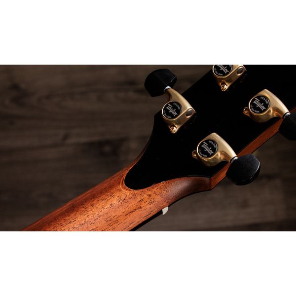 Taylor Gold Label 917e