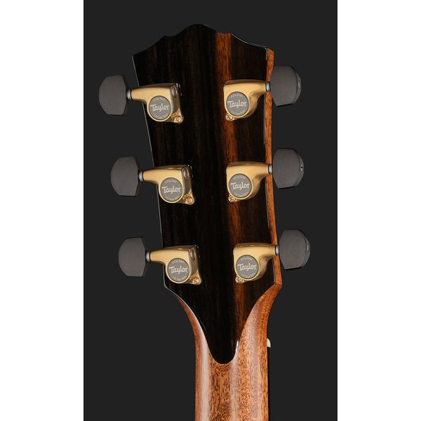 Taylor Gold Label 917e