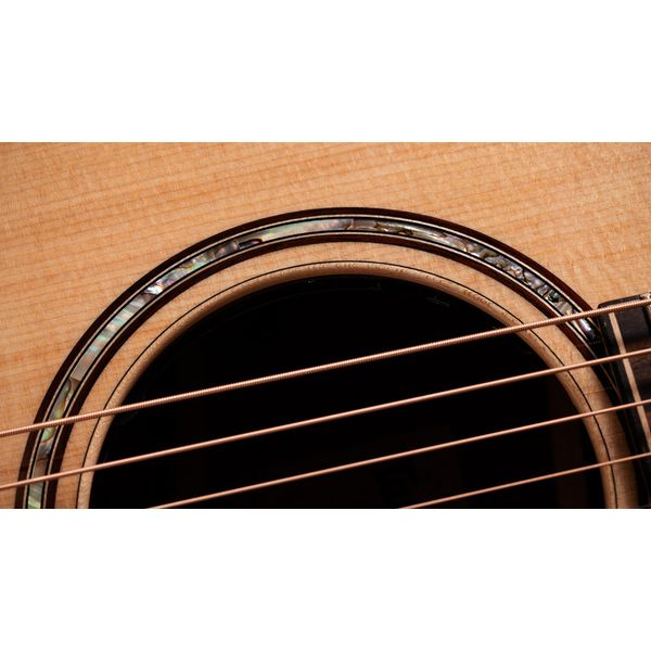 Taylor 814ce Cocobolo Next Gen LTD